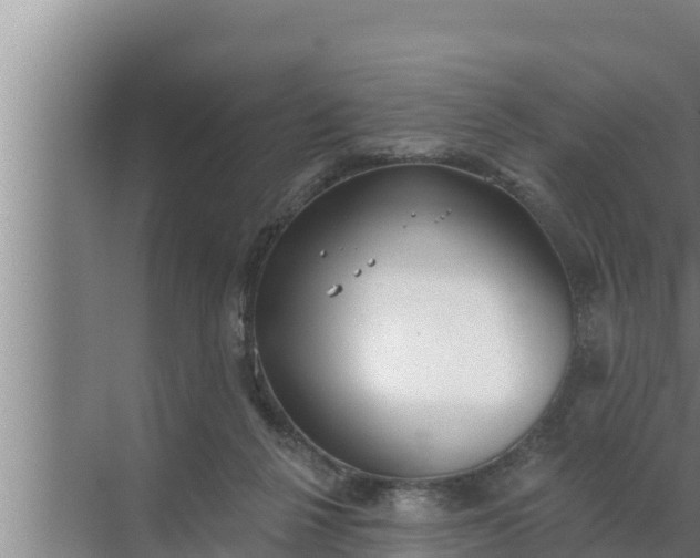 X0000072490264200607290047