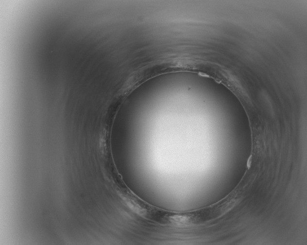 X0000072490265200607290047