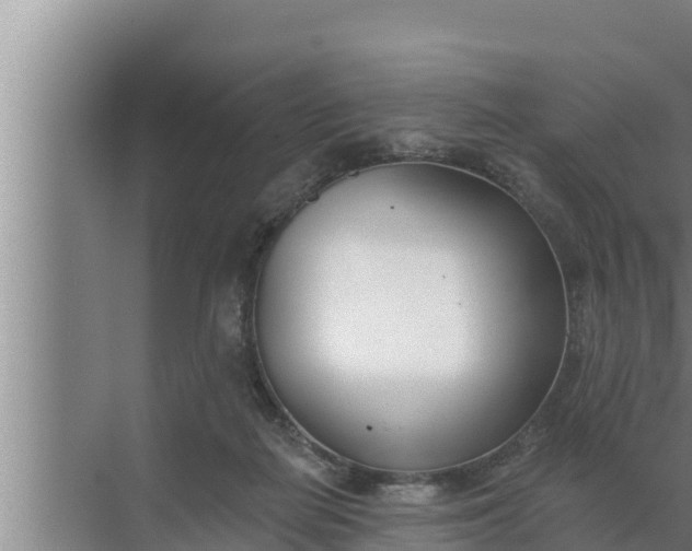 X0000072490266200607290047