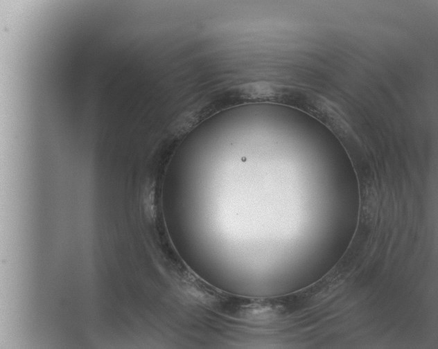 X0000072490267200607290047