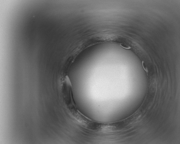 X0000072490268200607290047