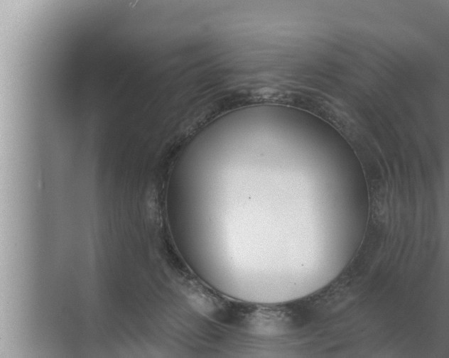 X0000072490270200607290047