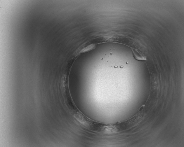 X0000072490275200607290047