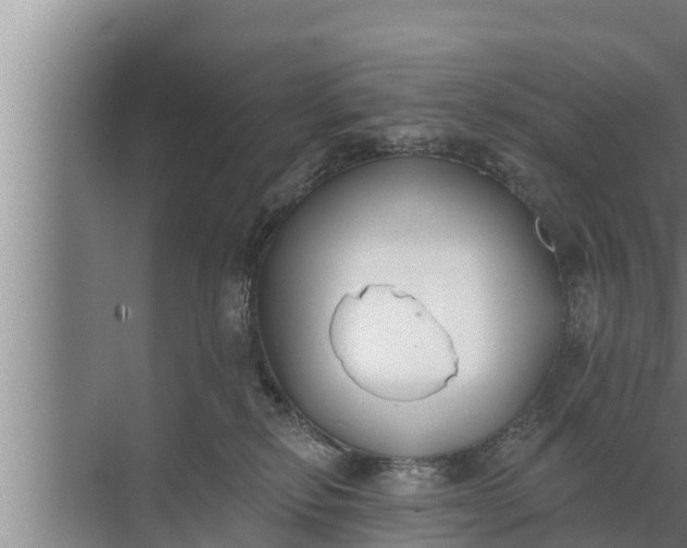 X0000072490278200607290047