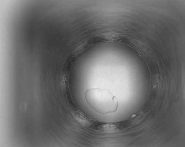 X0000072490279200607290047