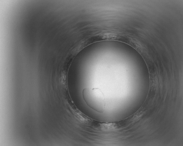 X0000072490281200607290047