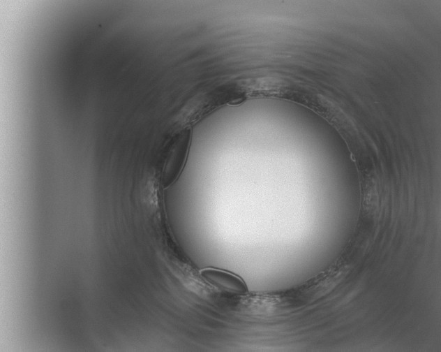 X0000072490282200607290047