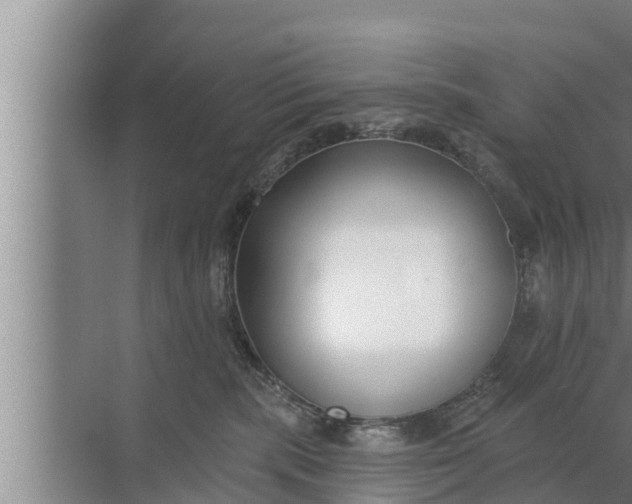 X0000072490283200607290047