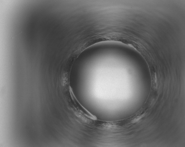 X0000072490284200607290047