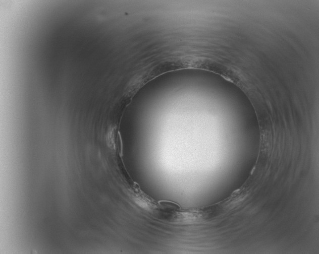 X0000072490286200607290048