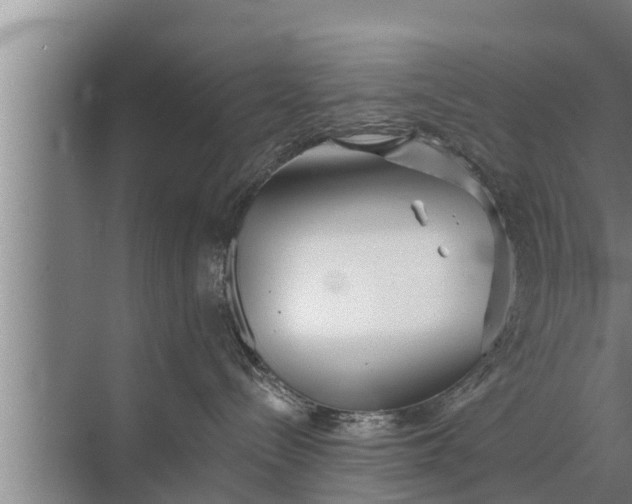 X0000072490288200607290048