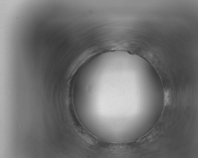 X0000072490291200607290047