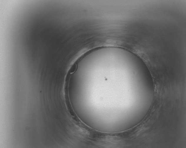 X0000072490292200607290047