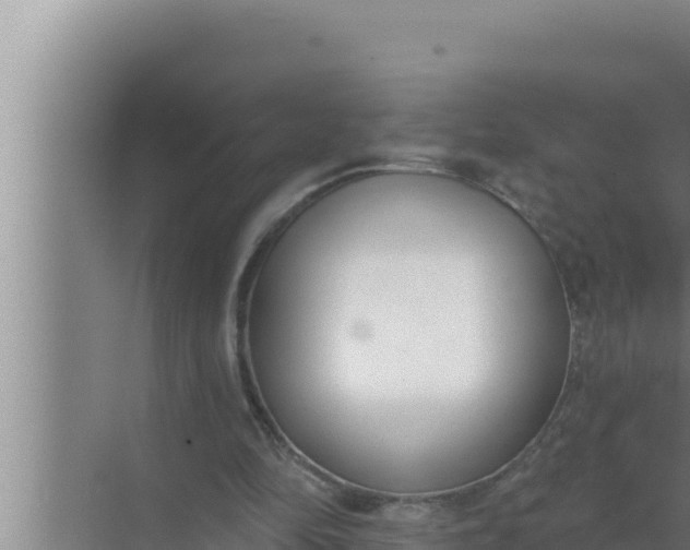 X0000072490294200607290047