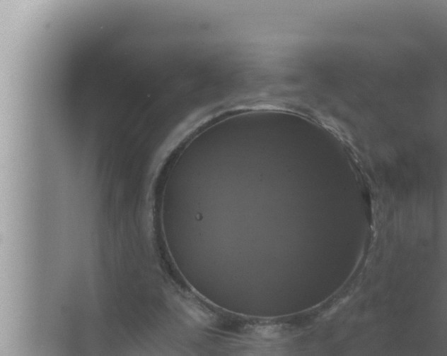 X0000072490295200607290047