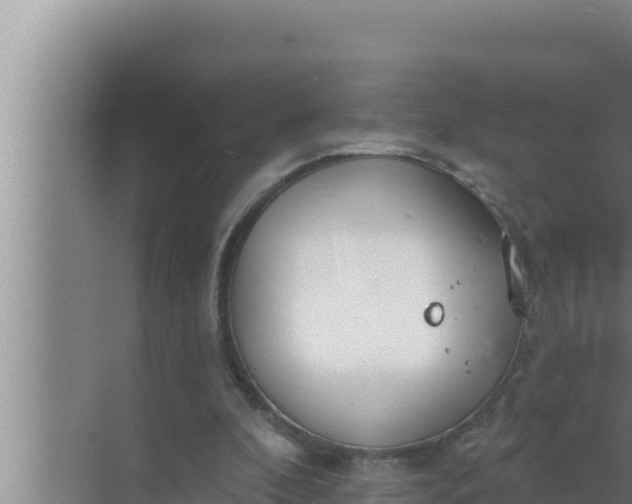 X0000072490296200607290047