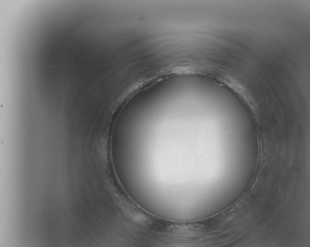 X0000072490297200607290047