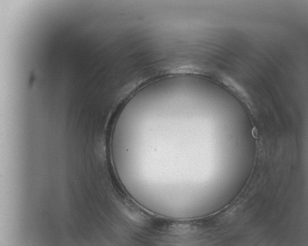 X0000072490298200607290047