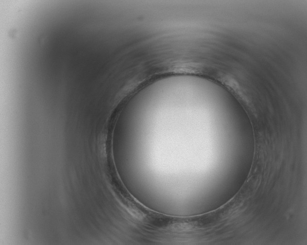 X0000072490299200607290047