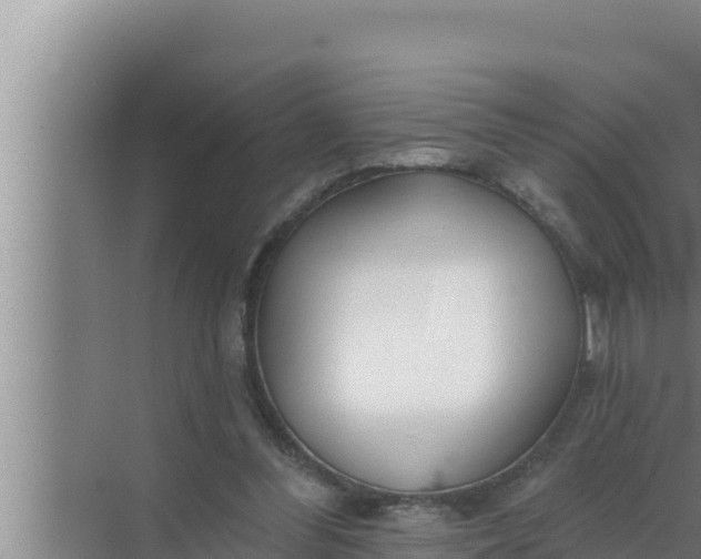 X0000072490300200607290047