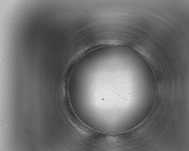 X0000072490302200607290047