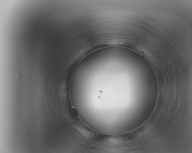 X0000072490303200607290047