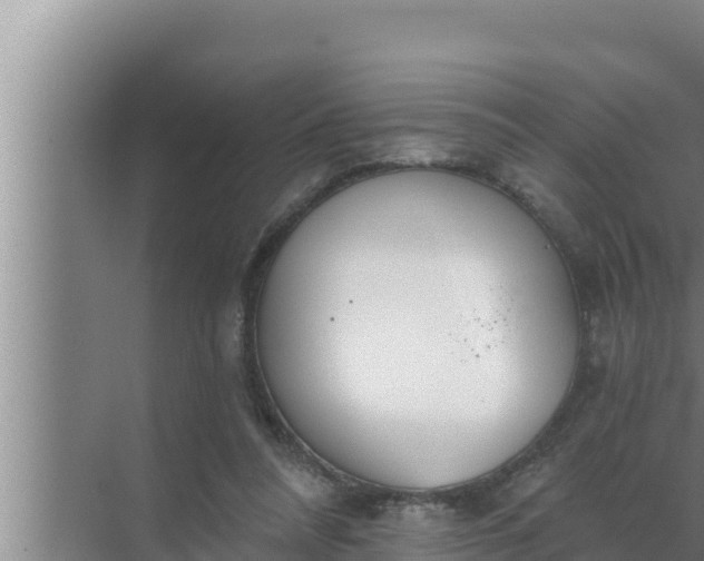 X0000072490304200607290047