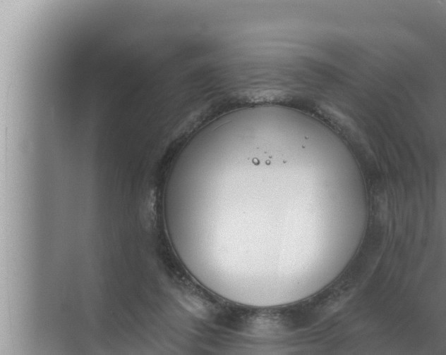 X0000072490308200607290046