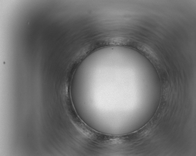 X0000072490310200607290046