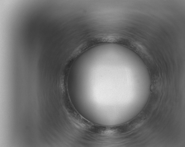 X0000072490312200607290046