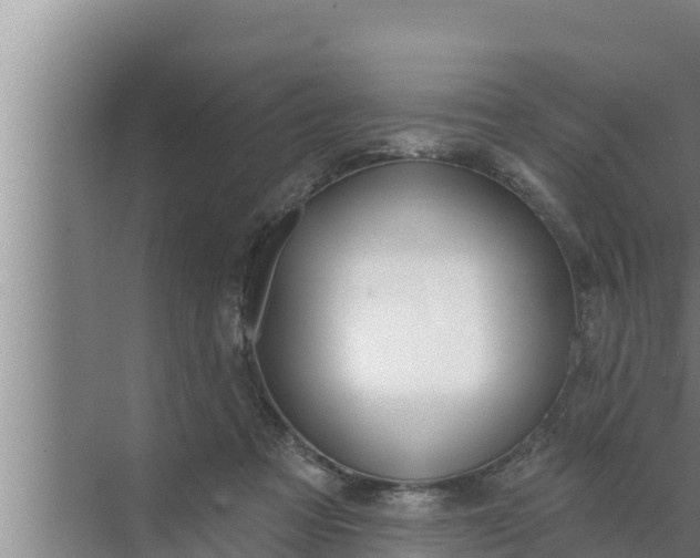 X0000072490313200607290046