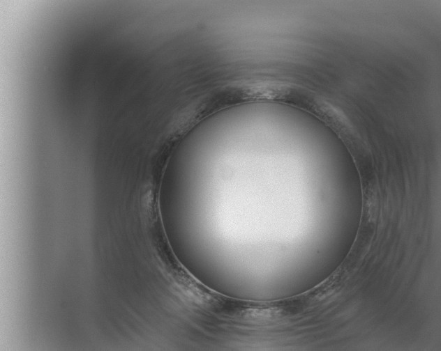 X0000072490314200607290046