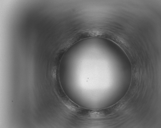 X0000072490315200607290046