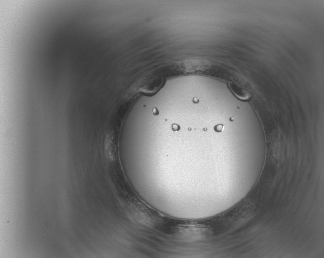 X0000072490316200607290046