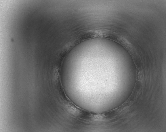 X0000072490318200607290046