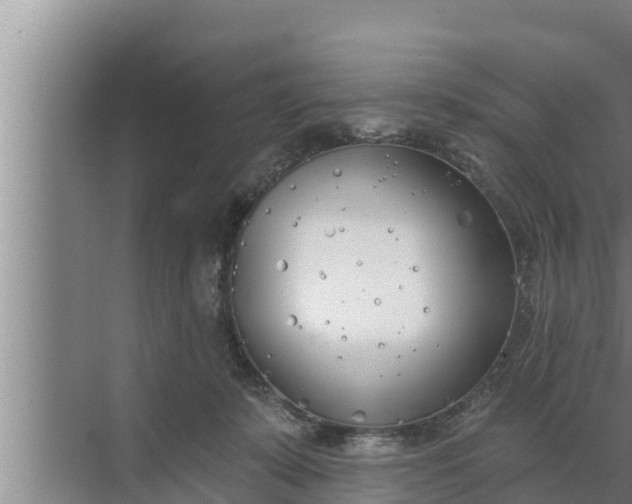 X0000072490319200607290046