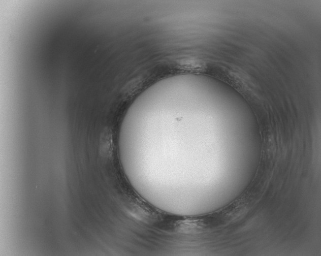 X0000072490320200607290046