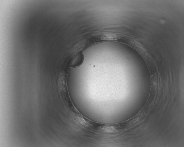 X0000072490322200607290046