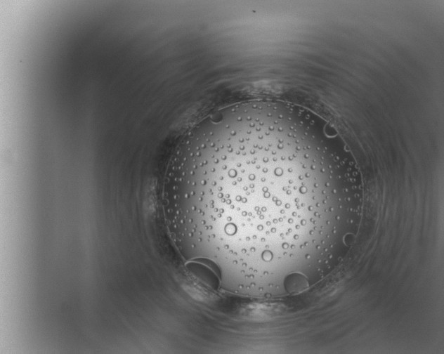 X0000072490323200607290046