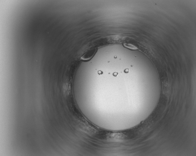 X0000072490324200607290046