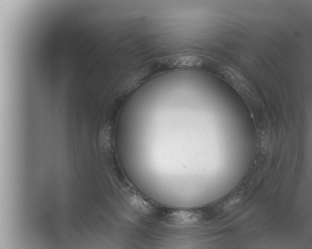 X0000072490326200607290046