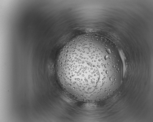 X0000072490327200607290046