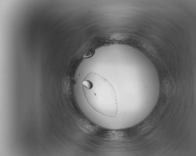 X0000072490328200607290046