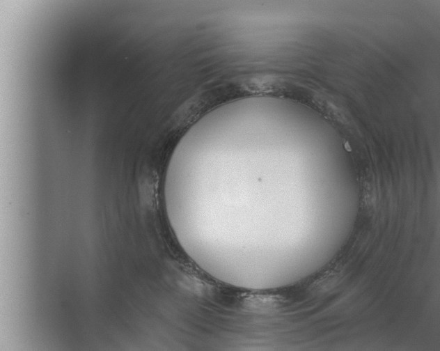 X0000072490332200607290046