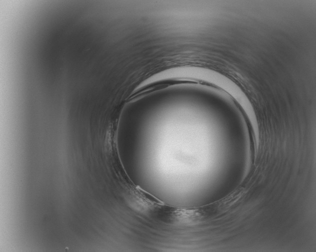 X0000072490333200607290046