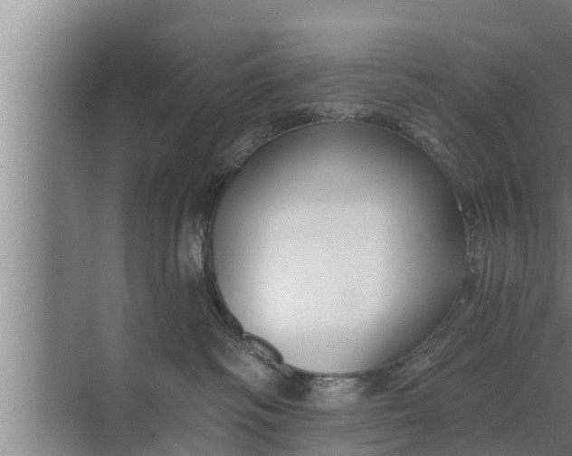 X0000072490334200607290046