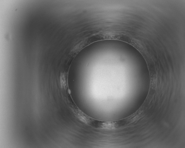 X0000072490335200607290046