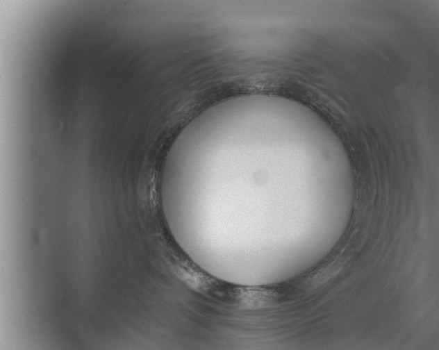 X0000072490336200607290046