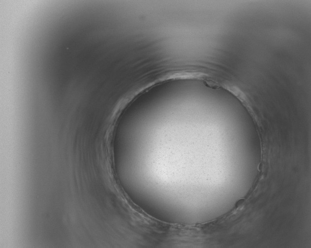 X0000072490337200607290045