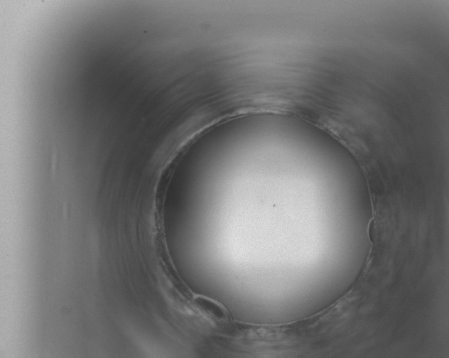 X0000072490338200607290045